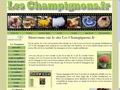 Les Champignon.fr