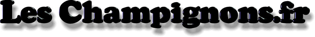http://leschampignons.fr