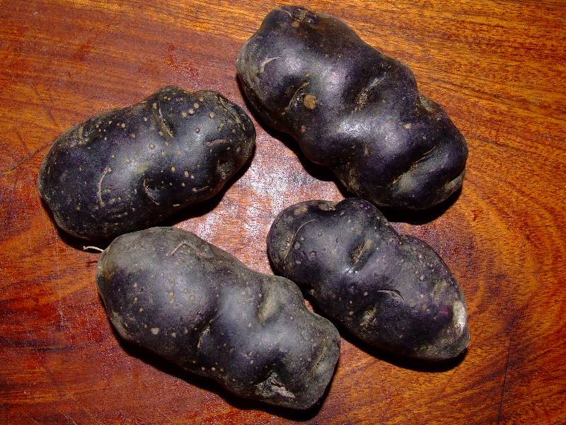 pommes de terre vitelotte