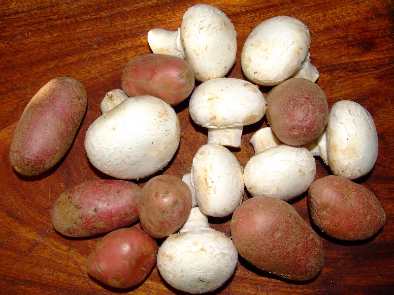 champignons de paris et pommes de terre rosevalt