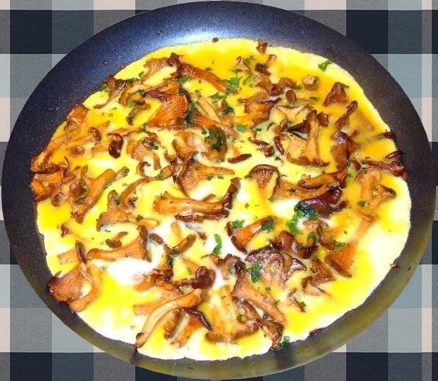 omelette de girolles